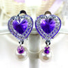 1 Pair Ear clip style earring